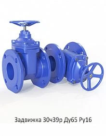 Задвижка 30ч39р Ду65 Ру16